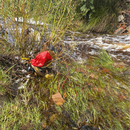 Following the trail of waste in Grabouw
